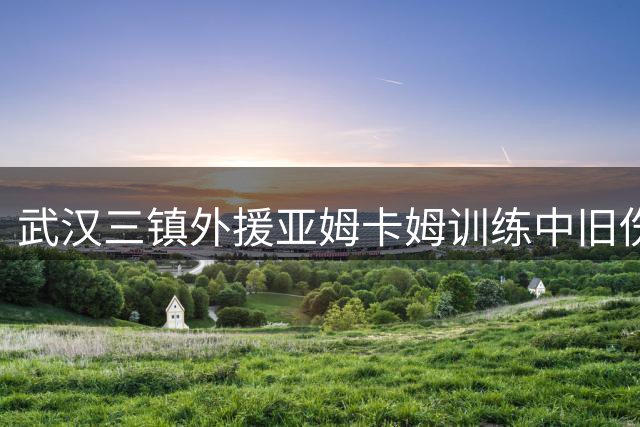武汉三镇外援亚姆卡姆训练中旧伤复发 将缺席三周关键赛事