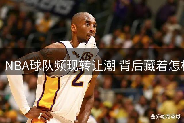 NBA球队频现转让潮 背后藏着怎样的投资密码？